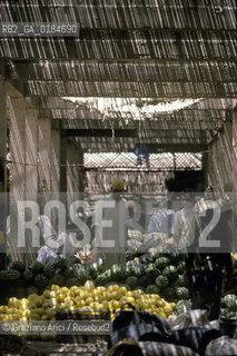 ( MAROCCO ) MAROCCO DEL SUD : ZONA PRESEDERTICA DEL TAFILALET  - OASI DI RISSANI - © 1996 Graziano Arici/Rosebud2 / GEO / MERCATO