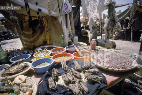 ( MAROCCO ) MAROCCO DEL SUD : ZONA PRESEDERTICA DEL TAFILALET  - OASI DI RISSANI - © 1996 Graziano Arici/Rosebud2 / GEO