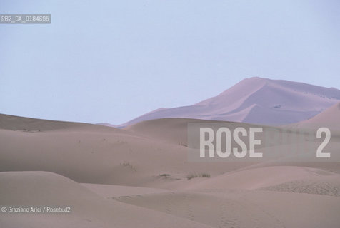 ( MAROCCO ) MAROCCO DEL SUD : ZONA PRESEDERTICA DEL TAFILALET  - OASI DI RISSANI - © 1996 Graziano Arici/Rosebud2 / GEO / ERG CHEBBI / DUNE
