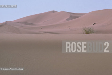 ( MAROCCO ) MAROCCO DEL SUD : ZONA PRESEDERTICA DEL TAFILALET  - OASI DI RISSANI - © 1996 Graziano Arici/Rosebud2 / GEO / ERG CHEBBI / DUNE