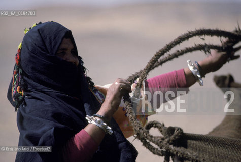 ( MAROCCO ) MAROCCO DEL SUD : ZONA PRESEDERTICA DEL TAFILALET  - OASI DI RISSANI - © 1996 Graziano Arici/Rosebud2 / GEO / ERG CHEBBI / POPOLAZIONI BERBERE NOMADI