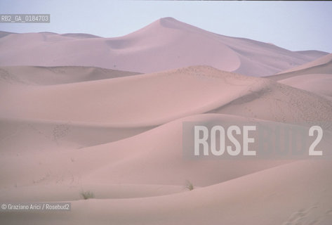 ( MAROCCO ) MAROCCO DEL SUD : ZONA PRESEDERTICA DEL TAFILALET  - OASI DI RISSANI - © 1996 Graziano Arici/Rosebud2 / GEO / ERG CHEBBI / DUNE
