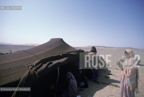 ( MAROCCO ) MAROCCO DEL SUD : ZONA PRESEDERTICA DEL TAFILALET  - OASI DI RISSANI - © 1996 Graziano Arici/Rosebud2 / GEO / ERG CHEBBI / POPOLAZIONI BERBERE NOMADI