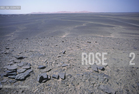 ( MAROCCO ) MAROCCO DEL SUD : ZONA PRESEDERTICA DEL TAFILALET  - OASI DI RISSANI - © 1996 Graziano Arici/Rosebud2 / GEO / ERG CHEBBI / RESTI FOSSILI