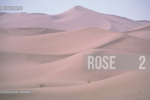 ( MAROCCO ) MAROCCO DEL SUD : ZONA PRESEDERTICA DEL TAFILALET  - OASI DI RISSANI - © 1996 Graziano Arici/Rosebud2 / GEO / ERG CHEBBI / DUNE