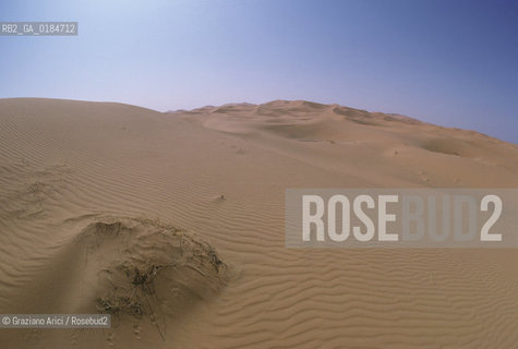 ( MAROCCO ) MAROCCO DEL SUD : ZONA PRESEDERTICA DEL TAFILALET  - OASI DI RISSANI - © 1996 Graziano Arici/Rosebud2 / GEO / ERG CHEBBI / DUNE