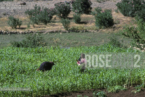 ( MAROCCO ) MAROCCO DEL SUD : VALLE DEL DAAD - © 1996 Graziano Arici/Rosebud2 / GEO