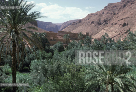 ( MAROCCO ) MAROCCO DEL SUD : VALLE DEL DAAD - © 1996 Graziano Arici/Rosebud2 / GEO