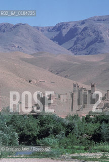 ( MAROCCO ) MAROCCO DEL SUD : VALLE DEL DAAD - © 1996 Graziano Arici/Rosebud2 / GEO