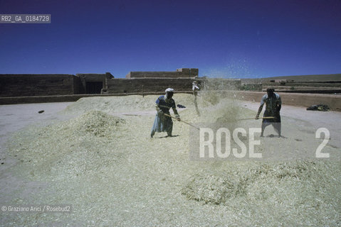 ( MAROCCO ) MAROCCO DEL SUD : VALLE DEL DAAD - © 1996 Graziano Arici/Rosebud2 / GEO / BATTITURA DEL GRANO