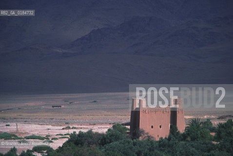 ( MAROCCO ) MAROCCO DEL SUD : VALLE DEL DAAD - © 1996 Graziano Arici/Rosebud2 / GEO