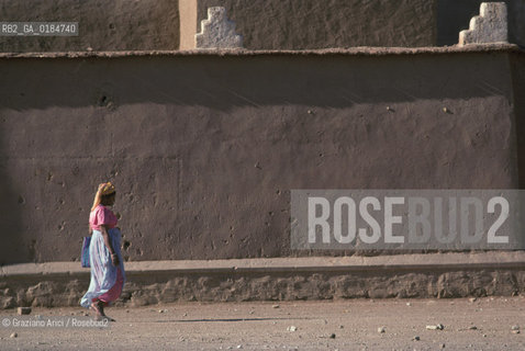 ( MAROCCO ) MAROCCO DEL SUD : OASI DI OUARZAZATE  - © 1996 Graziano Arici/Rosebud2 / GEO