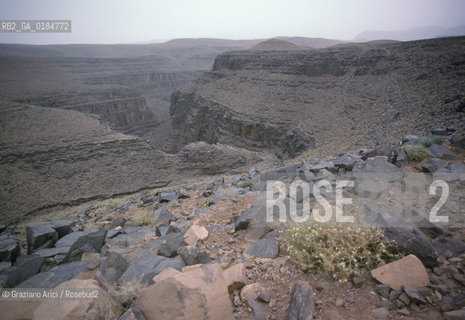 ( MAROCCO ) SUD DEL MAROCCO : VALLE DEL DRAA  - © 1996 Graziano Arici/Rosebud2 / GEO