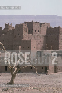 ( MAROCCO ) SUD DEL MAROCCO : VALLE DEL DRAA  - © 1996 Graziano Arici/Rosebud2 / GEO