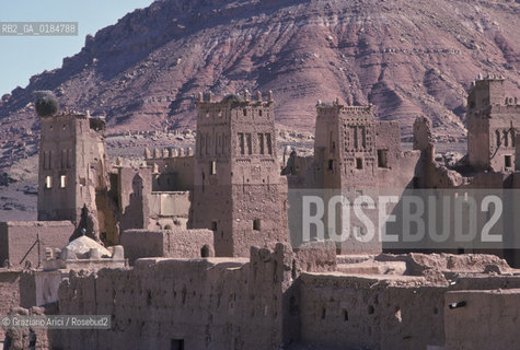( MAROCCO ) SUD DEL MAROCCO : OASI DI  ZAGORA  - © 1996 Graziano Arici/Rosebud2 / GEO