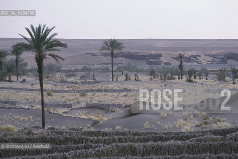 ( MAROCCO ) SUD DEL MAROCCO : OASI DI  TAMEGROUTE - SBARRAMENTI ANTI-DUNE  - © 1996 Graziano Arici/Rosebud2 / GEO