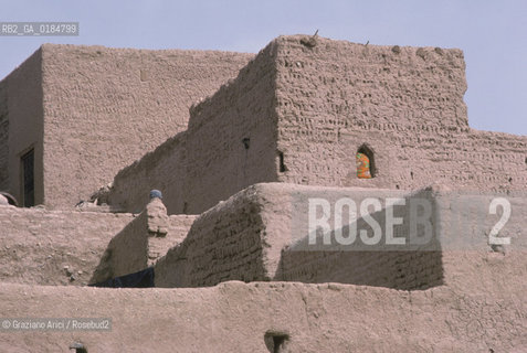 ( MAROCCO ) SUD DEL MAROCCO : OASI DI  TAMEGROUTE -  - © 1996 Graziano Arici/Rosebud2 / GEO