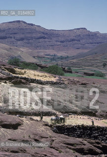 ( MAROCCO ) ALTO ATLANTE : BATTITURA DEL GRANO  - © 1996 Graziano Arici/Rosebud2 / GEO