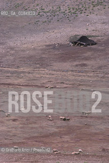 ( MAROCCO ) ALTO ATLANTE : TENDE DI BERBERI NOMADI - © 1996 Graziano Arici/Rosebud2 / GEO