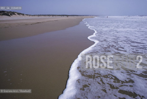 ( MAROCCO ) COSTA ATLANTICA : SPIAGGIA DI ESSAOUIRA - © 1996 Graziano Arici/Rosebud2 / GEO