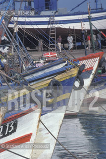 ( MAROCCO ) COSTA ATLANTICA : PORTO DI ESSAOUIRA - © 1996 Graziano Arici/Rosebud2 / GEO