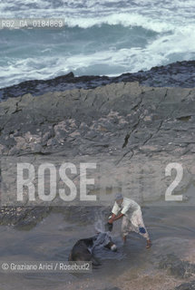 ( MAROCCO ) COSTA ATLANTICA : DINTORNI DI ESSAOUIRA - LA COSTA  - © 1996 Graziano Arici/Rosebud2 / GEO