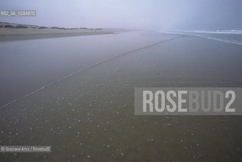 ( MAROCCO ) COSTA ATLANTICA : DINTORNI DI ESSAOUIRA - SPIAGGIA DI OUED MASSA - © 1996 Graziano Arici/Rosebud2 / GEO