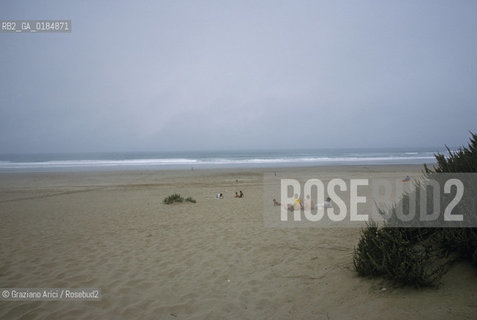 ( MAROCCO ) COSTA ATLANTICA : DINTORNI DI ESSAOUIRA - SPIAGGIA DI OUED MASSA - © 1996 Graziano Arici/Rosebud2 / GEO