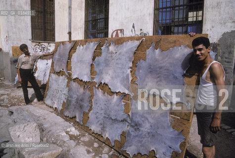 ( TUNISIA ) TUNISI : CONCIATORI DI PELLE  - © 1996 Graziano Arici/Rosebud2 / GEO /