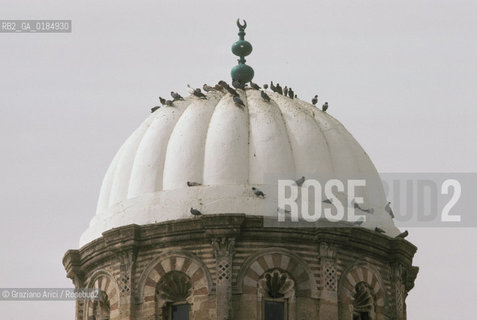 ( TUNISIA ) TUNISI : LA GRANDE MOSCHEA  - © 1996 Graziano Arici/Rosebud2 / GEO / CUPOLA