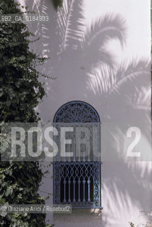 ( TUNISIA ) TUNISI : MUSEO DEL BARDO  - © 1996 Graziano Arici/Rosebud2 / GEO /  FINESTRA