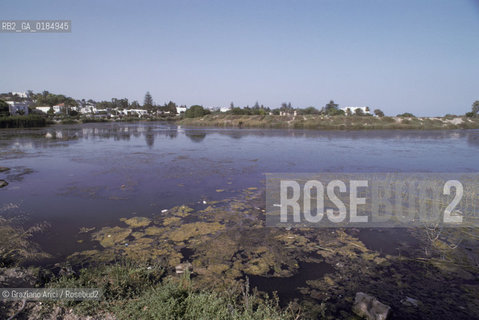 ( TUNISIA ) SCAVI ARCHEOLOGICI DI CARTAGINE : ANTICO PORTO  - © 1996 Graziano Arici/Rosebud2 / GEO /