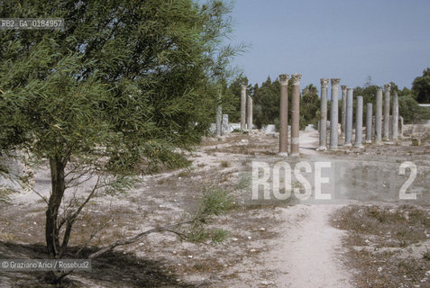 ( TUNISIA ) SCAVI ARCHEOLOGICI DI CARTAGINE   - © 1996 Graziano Arici/Rosebud2 / GEO