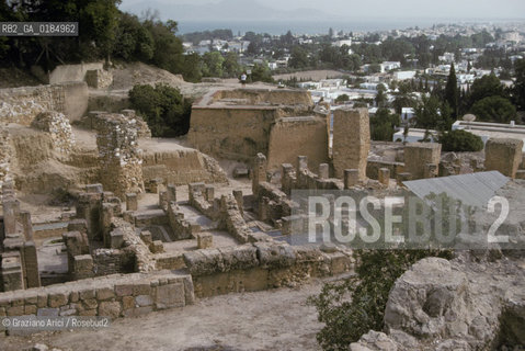 ( TUNISIA ) SCAVI ARCHEOLOGICI DI CARTAGINE   - © 1996 Graziano Arici/Rosebud2 / GEO