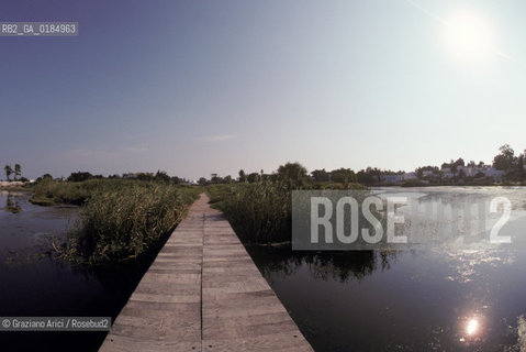 ( TUNISIA ) SCAVI ARCHEOLOGICI DI CARTAGINE : ANTICO PORTO PUNICO  - © 1996 Graziano Arici/Rosebud2 / GEO /