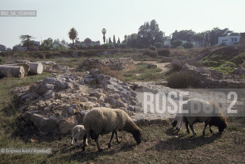 ( TUNISIA ) SCAVI ARCHEOLOGICI DI CARTAGINE  - © 1996 Graziano Arici/Rosebud2 / GEO