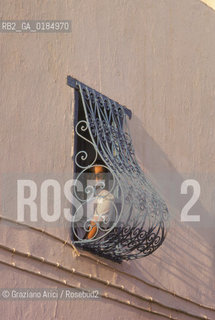 ( TUNISIA ) SIDI BOU SAID : FINESTRA - © 1996 Graziano Arici/Rosebud2 / GEO