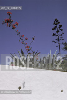 ( TUNISIA ) SIDI BOU SAID : UNA STRADINA DEL CENTRO  - © 1996 Graziano Arici/Rosebud2 / GEO