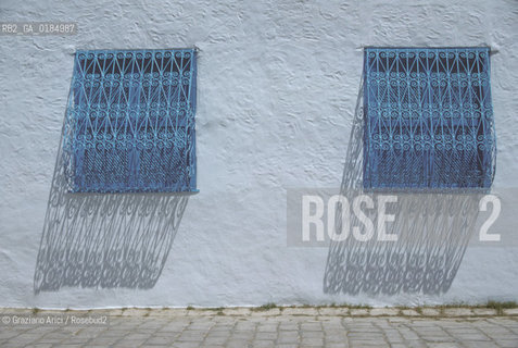( TUNISIA ) SIDI BOU SAID : FINESTRA - © 1996 Graziano Arici/Rosebud2 / GEO