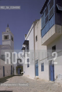 ( TUNISIA ) SIDI BOU SAID : STRADINA - © 1996 Graziano Arici/Rosebud2 / GEO