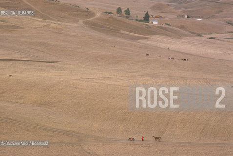 ( TUNISIA ) REGIONE DI BISERTA  - © 1996 Graziano Arici/Rosebud2 / GEO