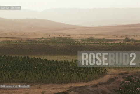 ( TUNISIA ) REGIONE DI BISERTA  - © 1996 Graziano Arici/Rosebud2 / GEO