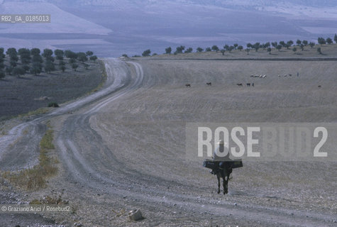( TUNISIA ) SITO ARCHEOLOGICO DI DOUGGA : CAMPAGNA - © 1996 Graziano Arici/Rosebud2 / GEO