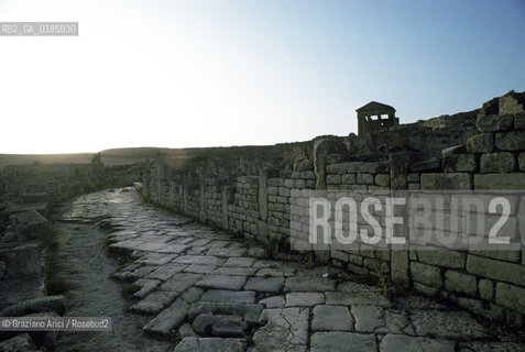 ( TUNISIA ) SITO ARCHEOLOGICO DI DOUGGA - © 1996 Graziano Arici/Rosebud2 / GEO