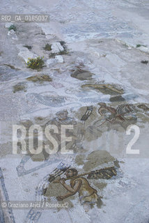 ( TUNISIA ) SITO ARCHEOLOGICO DI BULLA REGIA - © 1996 Graziano Arici/Rosebud2 / GEO / MOSAICI