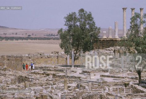 ( TUNISIA ) SITO ARCHEOLOGICO DI THUBURBO MAGNUS - © 1996 Graziano Arici/Rosebud2 / GEO