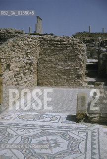 ( TUNISIA ) SITO ARCHEOLOGICO DI THUBURBO MAGNUS - © 1996 Graziano Arici/Rosebud2 / GEO / MOSAICI