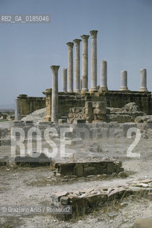 ( TUNISIA ) SITO ARCHEOLOGICO DI THUBURBO MAGNUS - © 1996 Graziano Arici/Rosebud2 / GEO