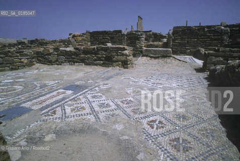 ( TUNISIA ) SITO ARCHEOLOGICO DI THUBURBO MAGNUS - © 1996 Graziano Arici/Rosebud2 / GEO / MOSAICI