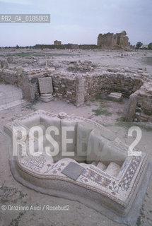 ( TUNISIA ) SITO ARCHEOLOGICO DI SBEITLA : FONTE BATTESIMALE  - © 1996 Graziano Arici/Rosebud2 / GEO / MOSAICI